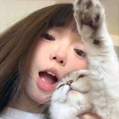麦胖报告